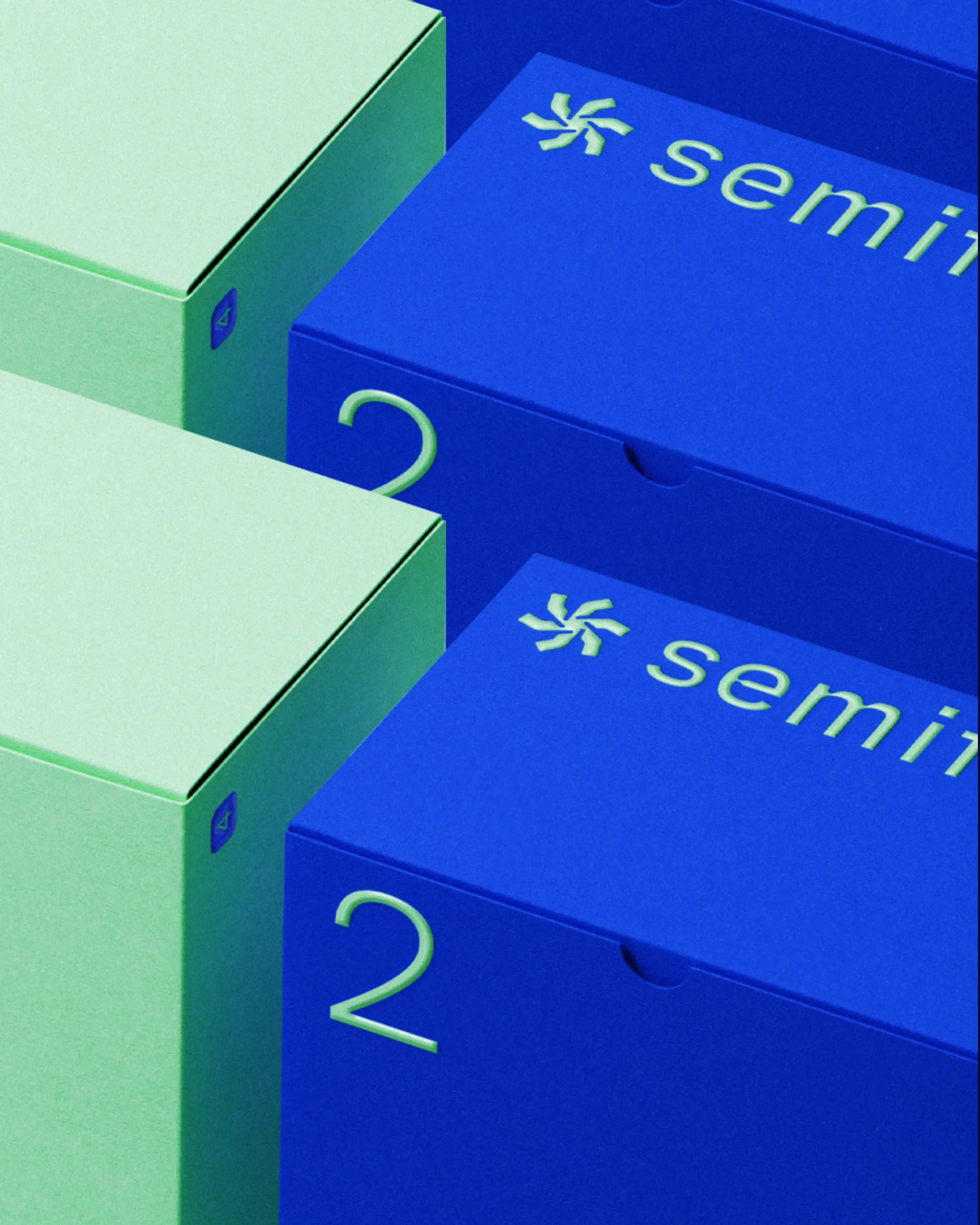 module semiflex packaging